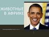 Животные в Африке