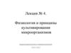 Физиология и принципы культивирования микроорганизмов. Лекция №4