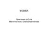 Практична робота. Магнітне поле. Електромагнетизм