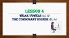 Weak vowels /ә/, /i/. The consonant sounds /f/, /v/. Lesson 4