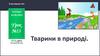 Тварини в природі. Урок №13