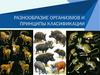 Разнообразие организмов и принципы класификации