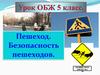 Пешеход. Безопасность пешеходов. Урок ОБЖ. 5 класс