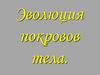 Эволюция покровов тела. Функции покровов