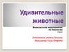 Удивительные животные. Внеклассное мероприятие по биологии