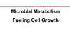 Microbial Metabolism. Fueling Cell Growth