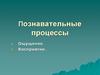 Познавательные процессы. Ощущение и восприятие
