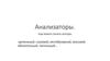 Анализаторы: зрительный, слуховой, вестибулярный, вкусовой, обонятельный, тактильный