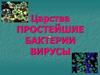 Царства простейшие бактерии - вирусы