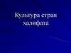 Культура стран халифата