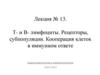 Т- и В- лимфоциты. Рецепторы, субпопуляции. Кооперация клеток в иммунном ответе