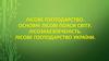 Лісове господарство. Основні лісові пояси світу. Лісозабезпеченість. Лісове господарство України