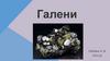 Галени. Применение