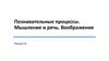 Познавательные процессы. Мышление и речь. Воображение. Лекция 14