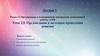 Организация и планирование контрольно-ревизионной работы в РФ. Тема 2.5. Организация и методика проведения ревизии