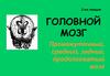 Головной мозг. Промежуточный, средний, задний, продолговатый мозг  (лекция 2)
