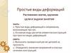 Простые виды деформаций