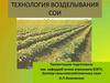 Технология возделывания сои