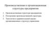 Производственная и организационная структуры предприятия