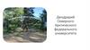 Дендрарий Северного Арктического федерального университета