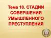 Стадии совершения умышленного преступления