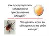 Клещи. Как предотвратить нападение и присасывание клещей