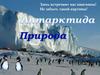 Природа Антарктиды