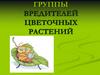 Группы вредителей цветочных растений