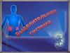 Выделительная система