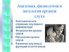 Анатомия, физиология и патология органов слуха. Анатомическое строение слухового анализатора