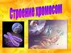 Строение хромосом