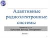 Примеры адаптивных систем