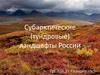 Субарктические (тундровые) ландшафты России