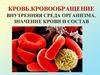 Кровь. Кровообращение. Внутренняя среда организма. Значение крови и состав. 8 класс