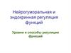 Нейрогуморальная и эндокринная регуляция функций