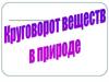 Круговорот веществ в природе