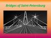 Bridges of Saint-Petersburg