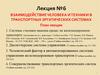 Взаимодействие человека и техники в транспортных эргатических системах