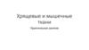 Хрящевые и мышечные ткани. Практическое занятие