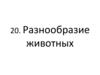 Разнообразие животных