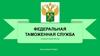 Федеральная таможенная служба