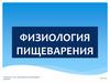 Физиология пищеварения