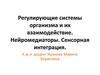 Регулирующие системы организма. Нейромедиаторы. Сенсорная интеграция