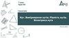 Кут. Вимірювання кутів. Рівність кутів. Бісектриса кута