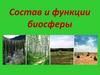 Состав и функции биосферы