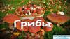 Грибы