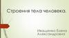 Строения тела человека  (7 класс)