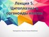 Цитоплазма и органоиды клетки. Лекция 5