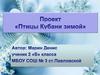 Проект "Птицы Кубани зимой"