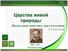 Царства живой природы